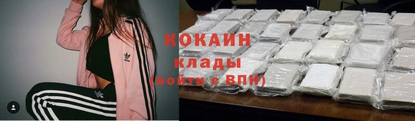 мяу мяу мука Бородино