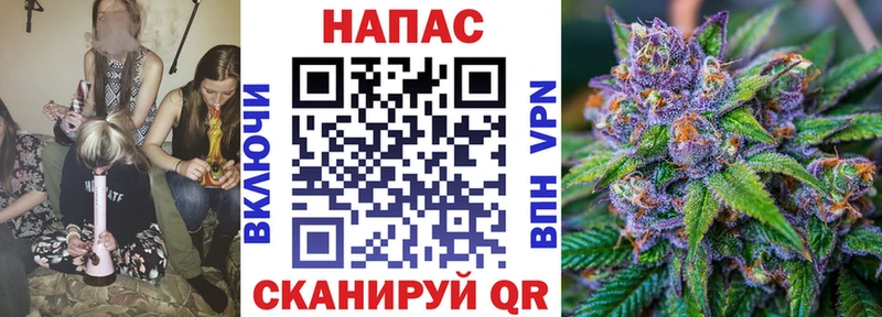 Конопля OG Kush  Купить  Котельниково 